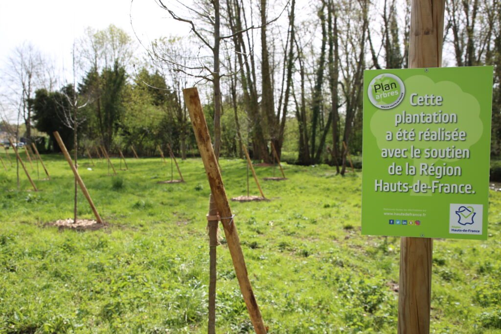 plantation de jeunes arbres et arbustes le long de l'avenue François Mitterand