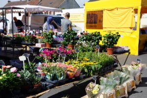 étal de plantes au marché